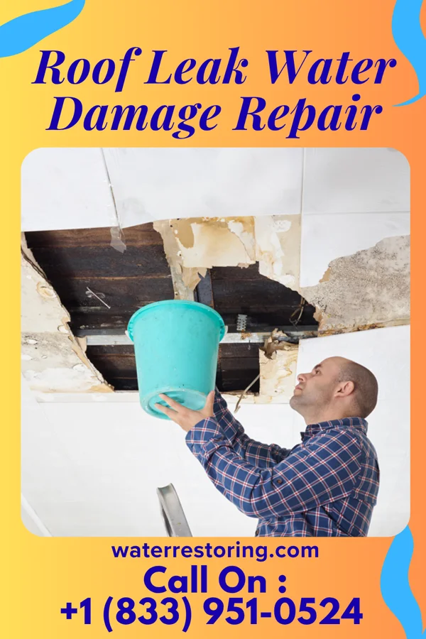 Roof Leak Water Damage Repair in Moline, IL