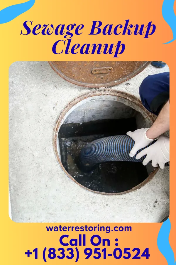 Sewage Backup Cleanup in Moline, IL